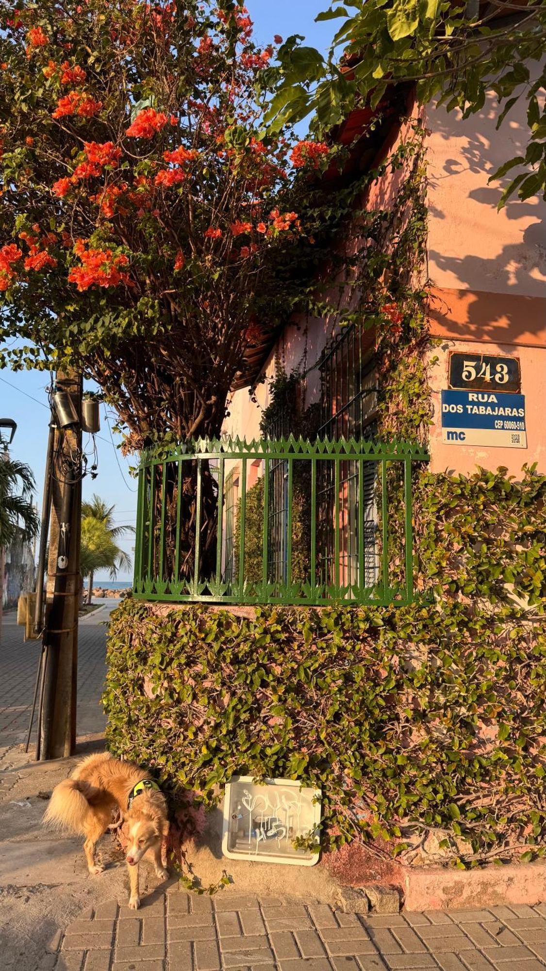 Jardim Iracema Apartamento Fortaleza  Exterior foto